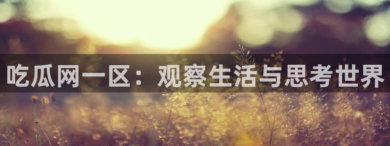 吃瓜小说:吃瓜网一区:观察生活与思考世界