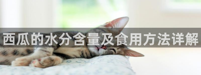 番茄和茄瓜能一起吃吗:西瓜的水分含量及食用方法详解