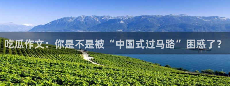 51吃瓜今日吃瓜必吃莫里秀:吃瓜作文:你是不是被“中国式过马路”困惑了?