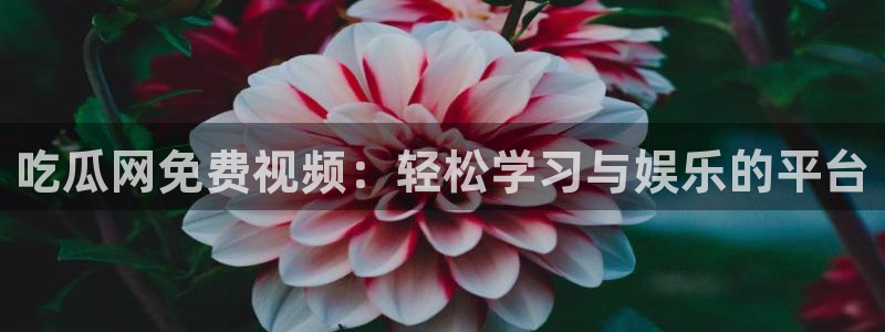 718.sⅹ 吃瓜:吃瓜网免费视频:轻松学习与娱乐的平台