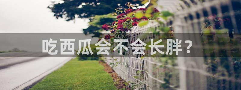 吃瓜喉咙痒怎么办:吃西瓜会不会长胖?