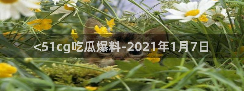 吃瓜吃到自己死讯:<51cg吃瓜爆料-2021年1月7日