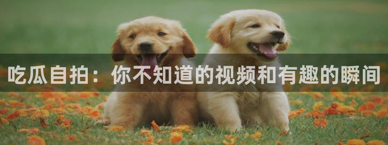 911爆料网红吃瓜:吃瓜自拍:你不知道的视频和有趣的瞬间