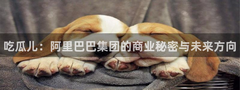 高血糖可以吃籽瓜吗:吃瓜儿:阿里巴巴集团的商业秘密与未来方向