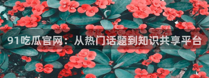 51吃瓜网今日吃瓜热门大瓜:91吃瓜官网:从热门话题到知识共享平台