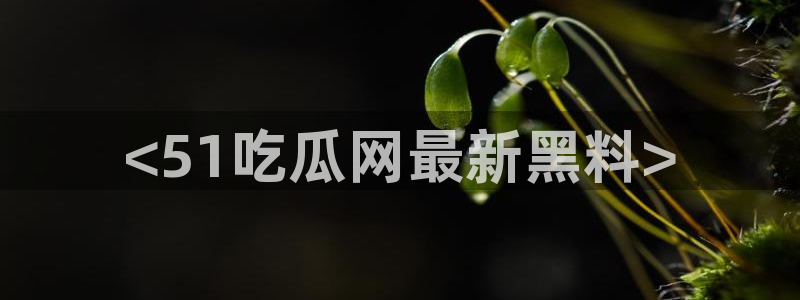 51吃瓜最新吃瓜入口:<51吃瓜网最新黑料>
