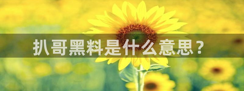 91吃瓜网今日吃瓜入口:扒哥黑料是什么意思?