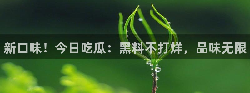 51吃瓜网每日榜单今日:新口味!今日吃瓜:黑料不打烊,品味无限