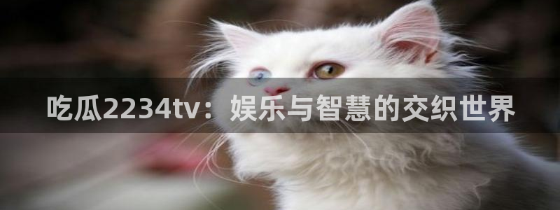 高血糖可以吃贝贝瓜吗:吃瓜2234tv:娱乐与智慧的交织世界