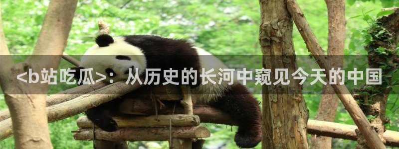 51吃瓜热心张津瑜:<b站吃瓜>:从历史的长河中窥见今天的中国