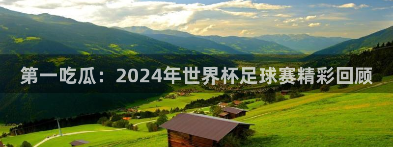 黑料黑料:第一吃瓜:2024年世界杯足球赛精彩回顾